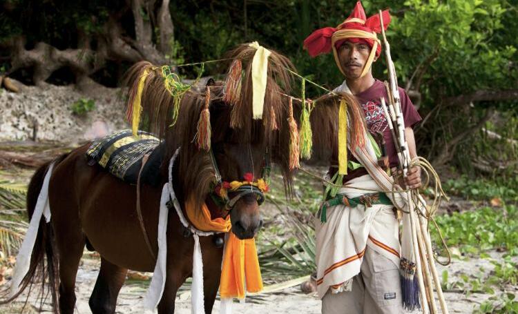 Pasola warrior with decorated horse in Sumba, Indonesia.