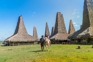 Ratenggaro Village Sumba traditional high-roof houses with horse riders in West Sumba